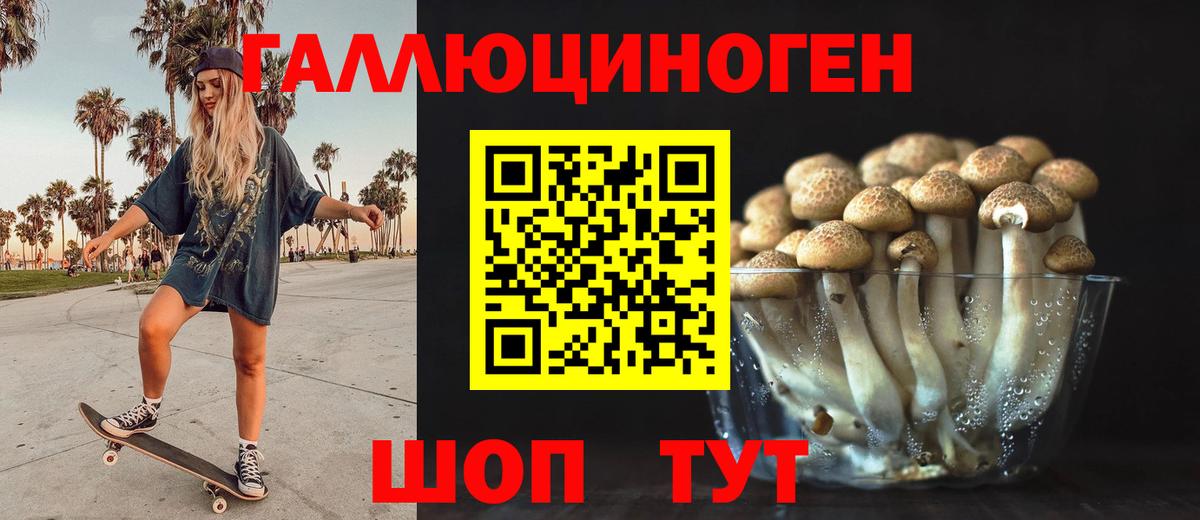 Галлюциногенные грибы Psilocybe  Вход с VPN  Псилоцибиновые грибы мицелий  Кострома 